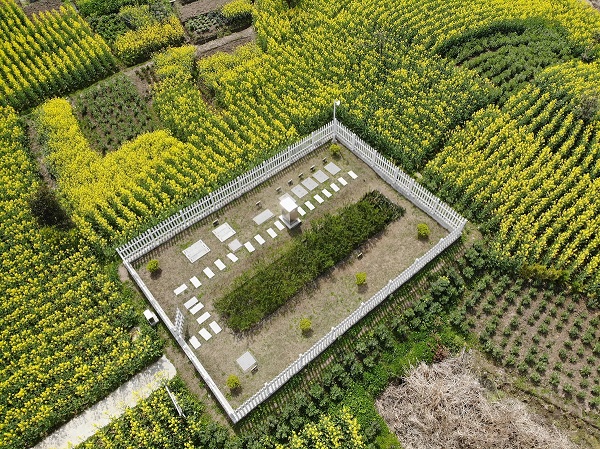僅需2周，水質(zhì)就穩(wěn)定達(dá)標(biāo)！這種一體化生活污水處理設(shè)備供不應(yīng)求