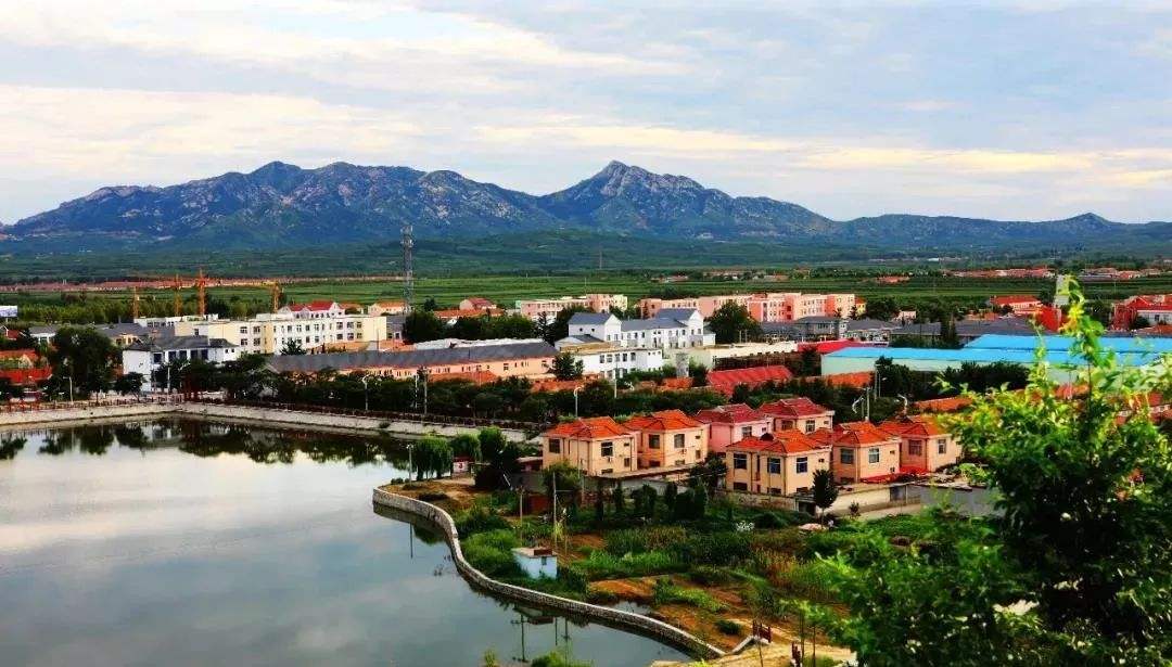 青島市“十四五”生態(tài)環(huán)境保護(hù)規(guī)劃了哪些農(nóng)村人居環(huán)境治理任務(wù)？